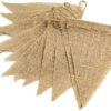 Hessian Bunting (3M)